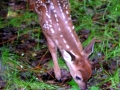DSCN8540