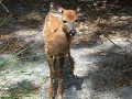 April01-04_008