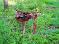 DSC00063