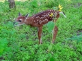 DSC00065