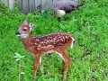 DSC00069