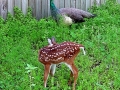 DSC00070