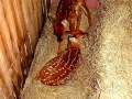 DSC00139