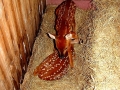 DSC00140