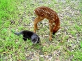 DSC00255