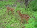DSC00257