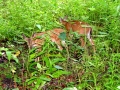 DSC08414
