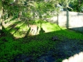 DSC09643