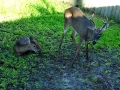 DSC09649