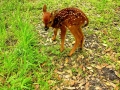 DSCN0628