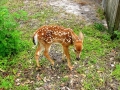 DSCN0629
