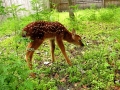 DSCN0630