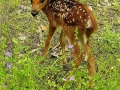 DSCN0632