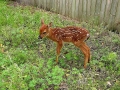 DSCN0633