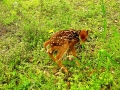 DSCN0635