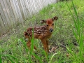 DSCN0636