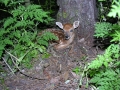 DSCN0649