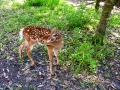DSCN0664