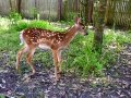 DSCN0665