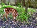 DSCN0666