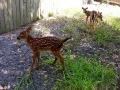 DSCN0667