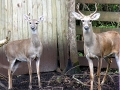 DSCN0834