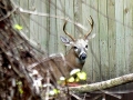 DSCN0837_3