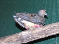 DSCN0893