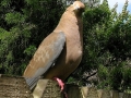 DSCN0919