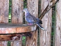 DSCN1054