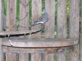 DSCN1055