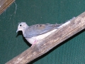DSCN1056