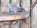 DSCN1057