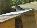 DSCN3165