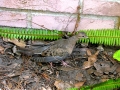 DSCN3170
