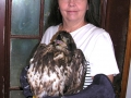 Carol_&_Juv._Eagle_11-12-08