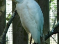 DSC06069