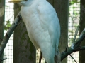 DSC06070