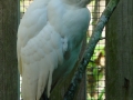 DSC06073