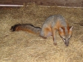 DSC09409