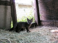 DSCN0698