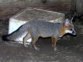 DSCN0860