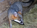 DSCN0871