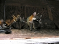 DSCN0892