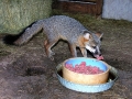 DSCN0896