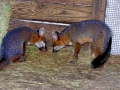 DSCN0900