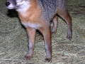 DSCN0939