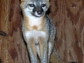 DSCN0942