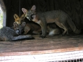 DSCN0975