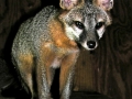 DSCN0976